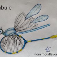 Résultats concours dessins Mascotte école de badminton